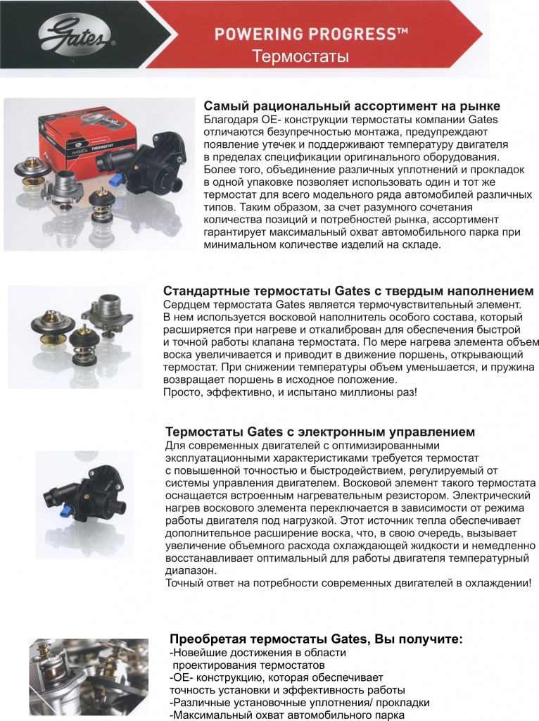 статья на сайт.jpg