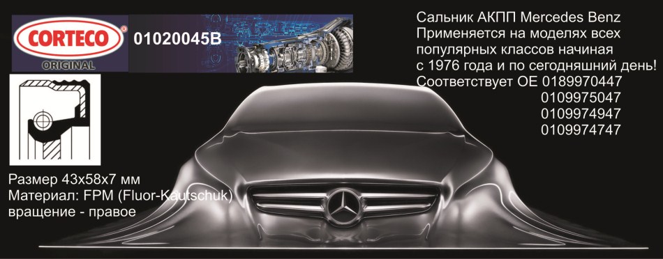 баннер 01020045b -2.jpg